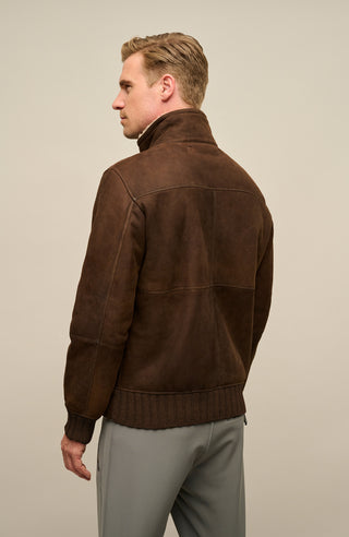 Herren-Lederjacke Modell Alvin MV in Farbe darkbrown– Rueckansicht Model mit Stehkragen und Lammfellfutter