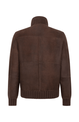 Herren-Lederjacke Modell Alvin MV in Farbe darkbrown– Rueckansicht mit Stehkragen und Lammfellfutter