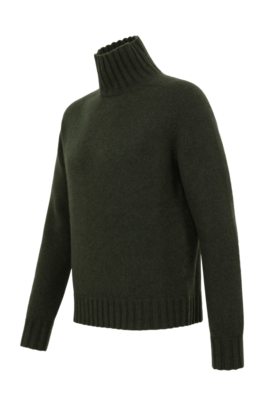 Kaschmir Rollkragenpullover Herren Aiden-WS 086549 in Grün (Farbe 84 0 Ivy – Seitliche Ansicht Freisteller
