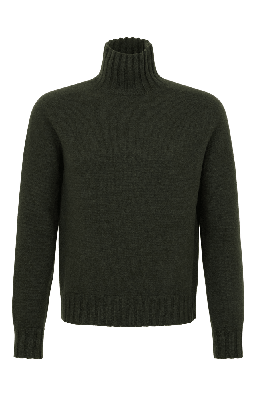 Kaschmir Rollkragenpullover Herren Aiden-WS 086549 in Grün (Farbe 84 0 Ivy – Vorderansicht Freisteller
