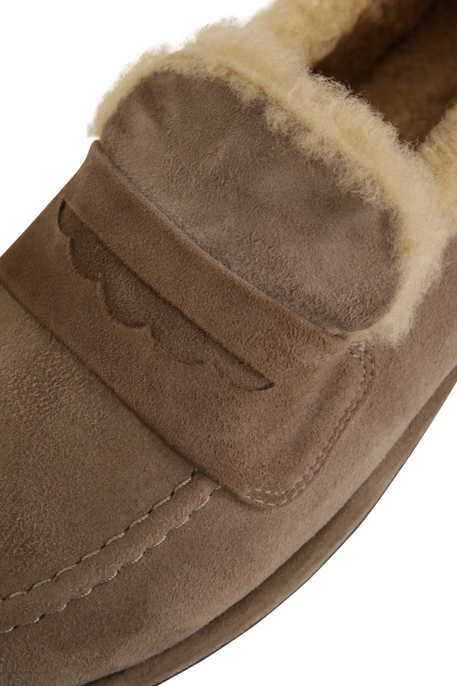 Slipper MIA Reverse