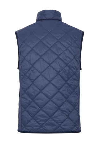 Herren-Steppweste Modell 251614 Henri-QL in der Farbe 2499 Alaska Blue, Rückansicht – zeigt das Rückendesign, die Schulterpartie und die gerade Passform der FRAUENSCHUH-Weste.